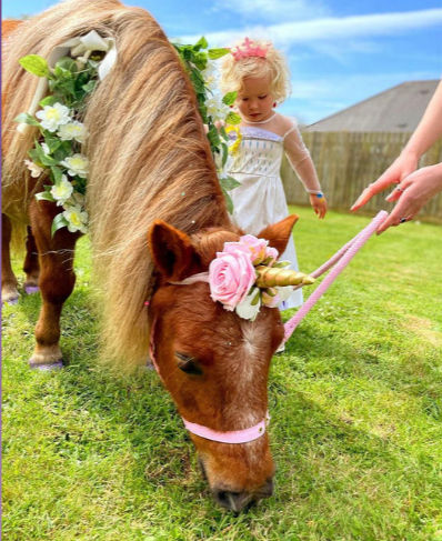Beautiful unicorn pony eating grass.
